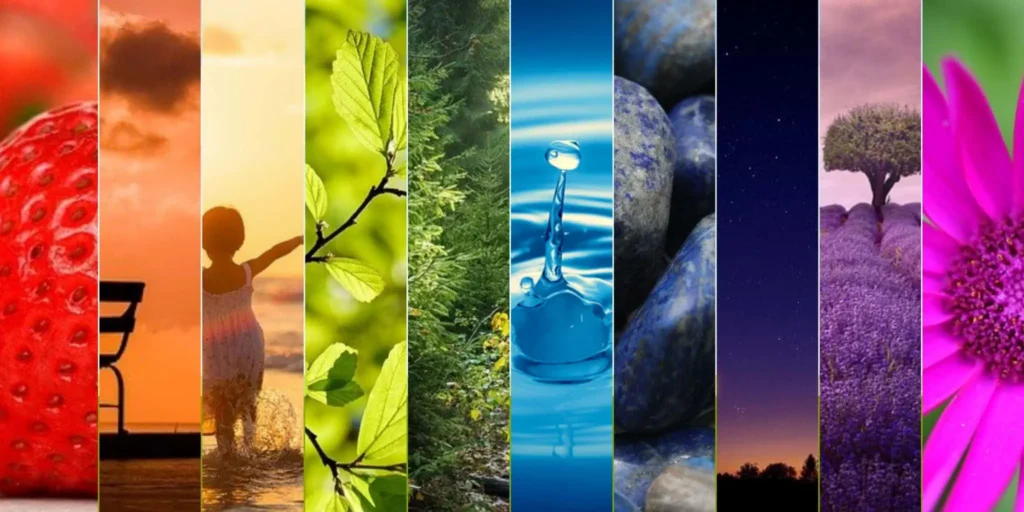 formation chromothérapie sensitive